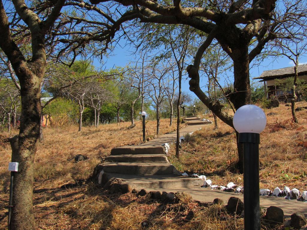 African Sunrise Lodge And Campsite Mto wa Mbu Exteriör bild